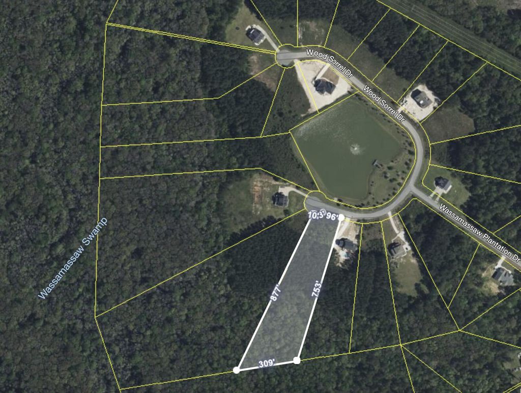 Photo of 1305 Wood Sorrel Drive, Moncks Corner, SC 29461 (MLS # 24027119)