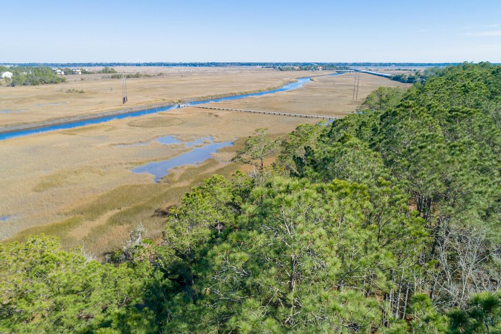 Photo of 1714 Vireo Court, Johns Island, SC 29455 (MLS # 26004587)