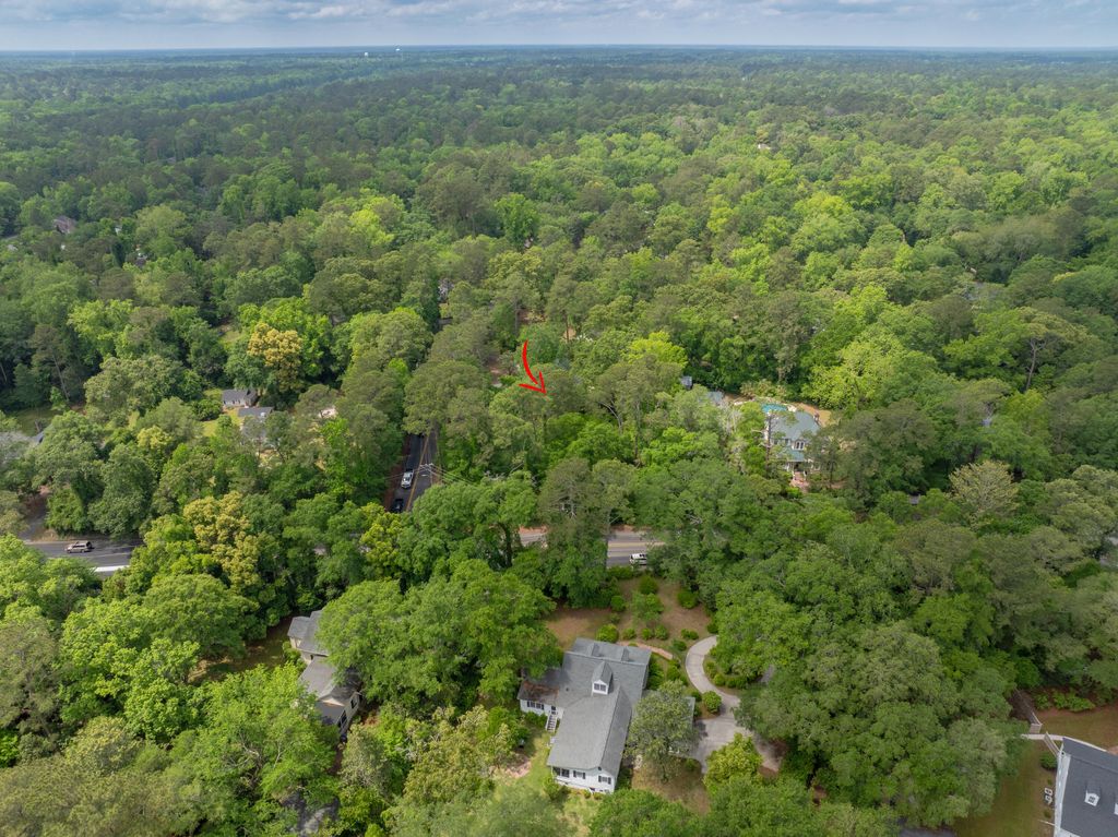 Photo of 114 E Carolina Avenue, Summerville, SC 29483 (MLS # 25011497)