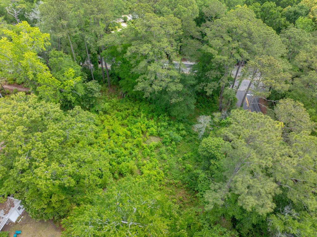 Photo of 114 E Carolina Avenue, Summerville, SC 29483 (MLS # 25011497)