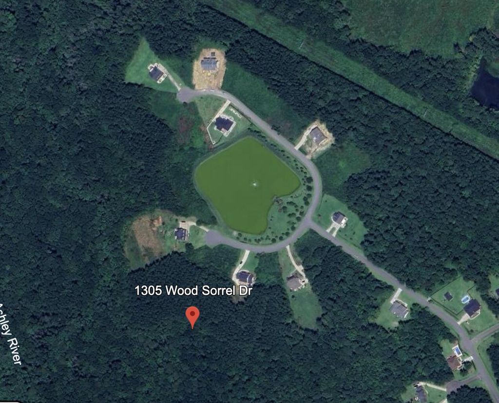 Photo of 1305 Wood Sorrel Drive, Moncks Corner, SC 29461 (MLS # 25033247)