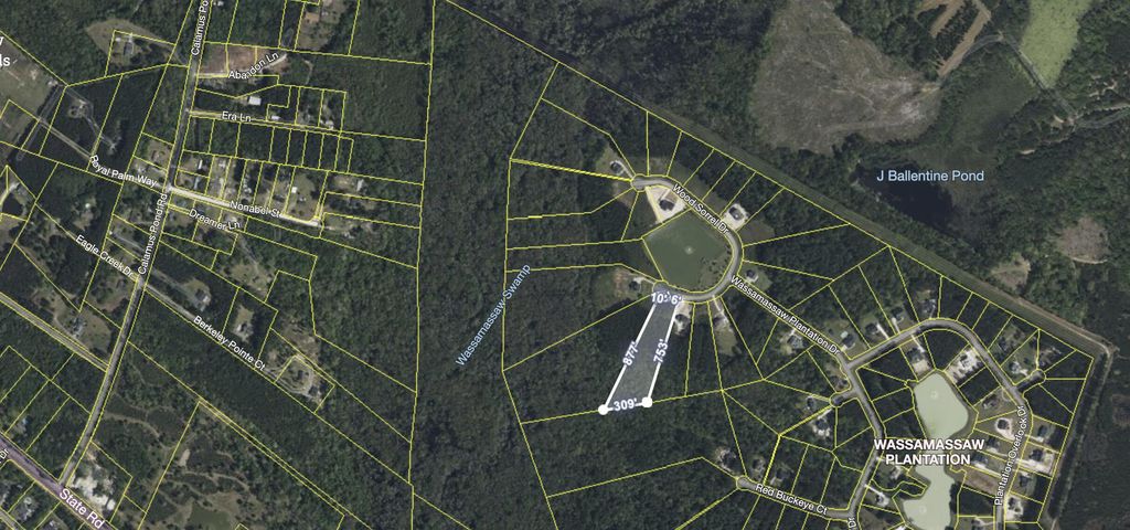 Photo of 1305 Wood Sorrel Drive, Moncks Corner, SC 29461 (MLS # 25033247)