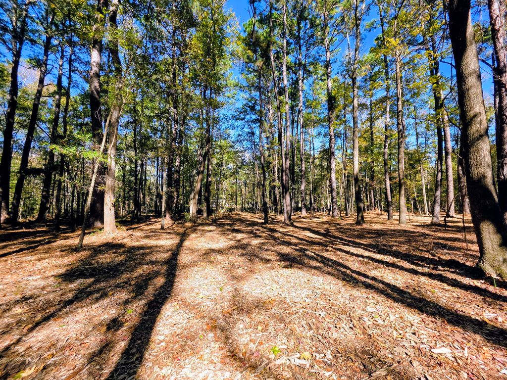 Photo of 3047 Fickling Hill Road #C-2, Johns Island, SC 29455 (MLS # 25030218)
