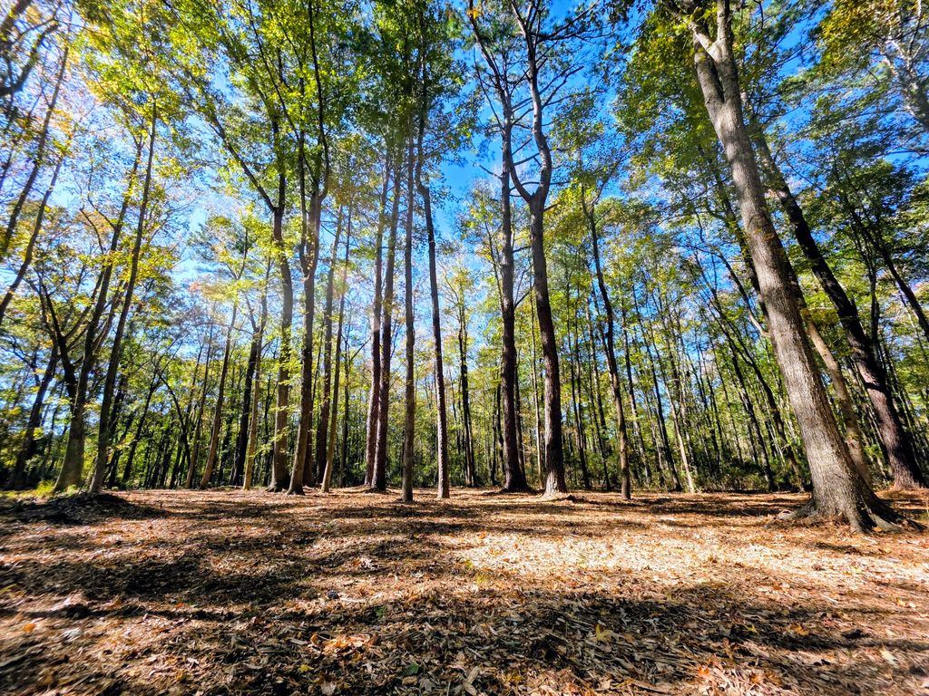 Photo of 3047 Fickling Hill Road #C-2, Johns Island, SC 29455 (MLS # 25030218)