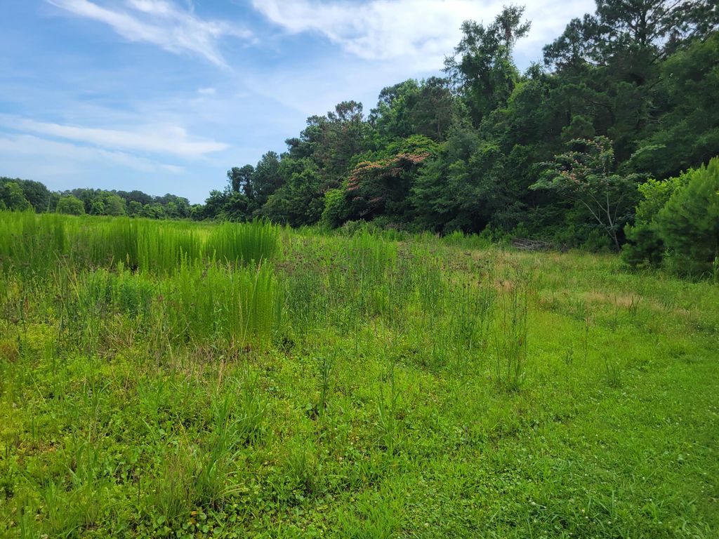 Photo of 4798 Reggie Road, Johns Island, SC 29455 (MLS # 25016352)