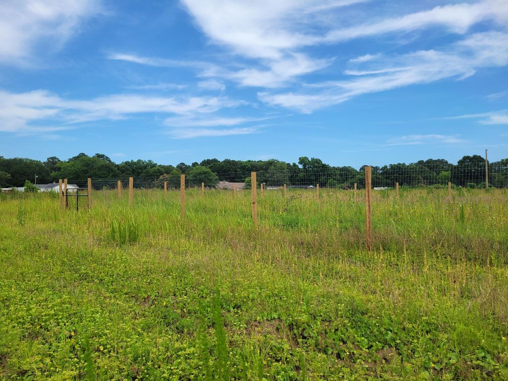 Photo of 4798 Reggie Road, Johns Island, SC 29455 (MLS # 25016352)