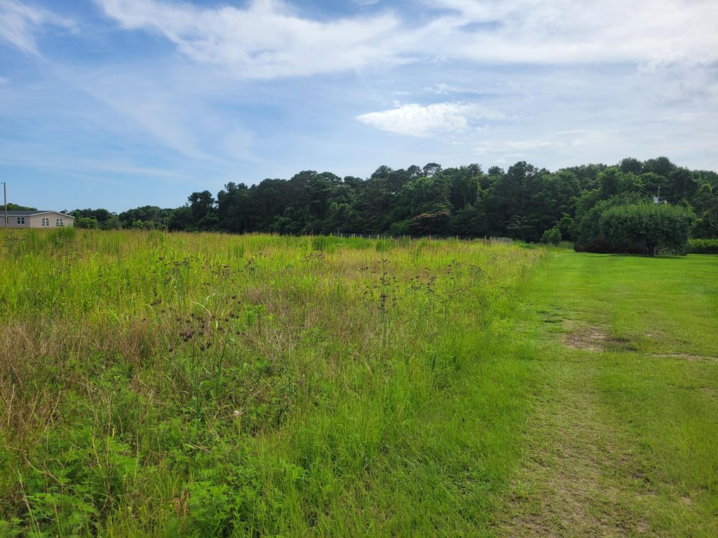 Photo of 4798 Reggie Road, Johns Island, SC 29455 (MLS # 25016352)