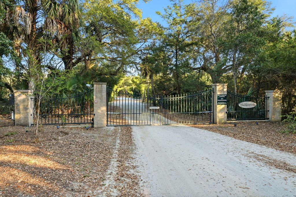 Photo of 831 Hammocks Way, Edisto Island, SC 29438 (MLS # 26008771)