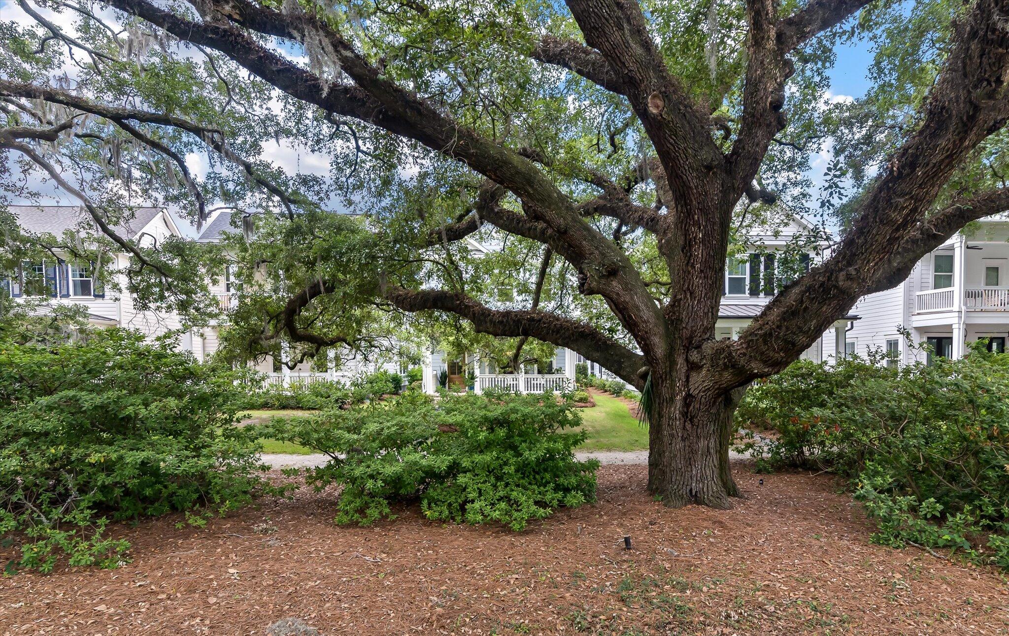 1052 Avenue Of Oaks