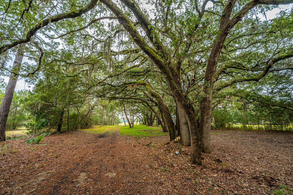 Photo of 8737 Peters Point Road, Edisto Island, SC 29438 (MLS # 25032092)