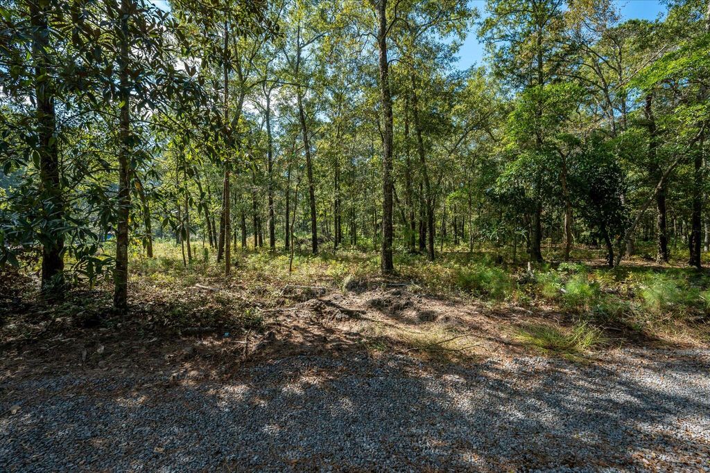 Photo of 1020 Hidden Acres Path, Johns Island, SC 29455 (MLS # 25028313)