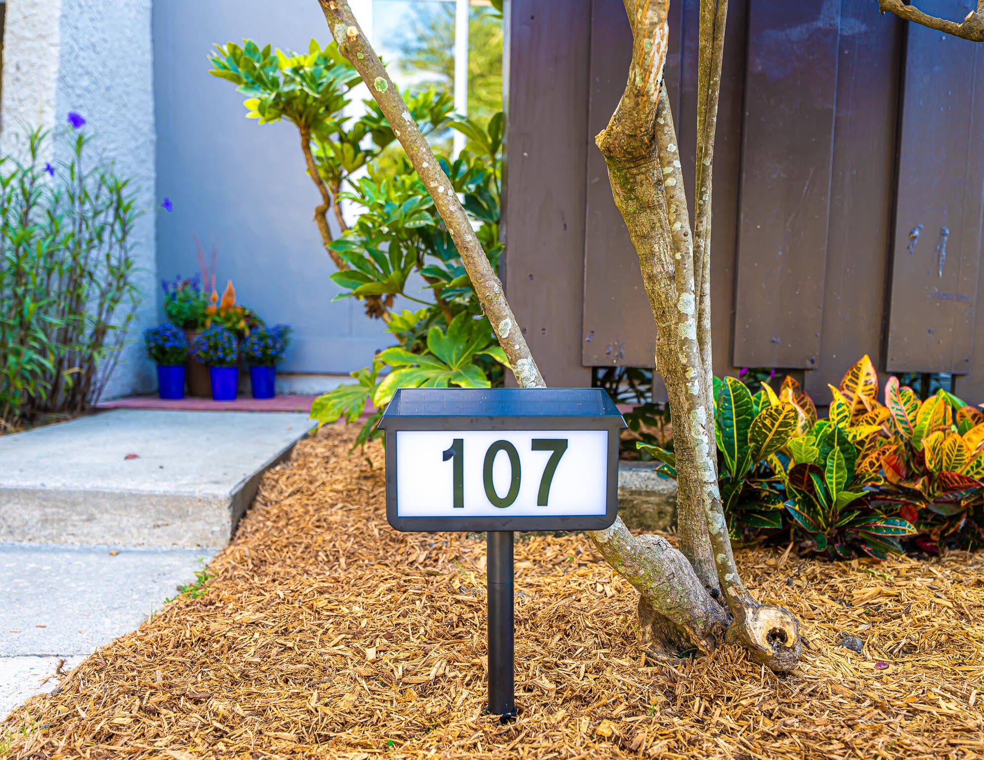 107 Ventura Place