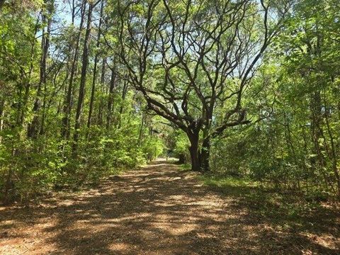 0 Bears Bluff Lot B Wadmalaw Island SC 29487