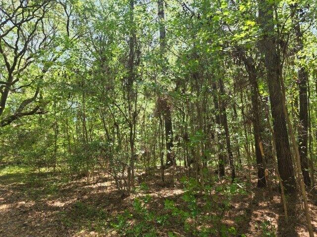 0 Bears Bluff Lot B