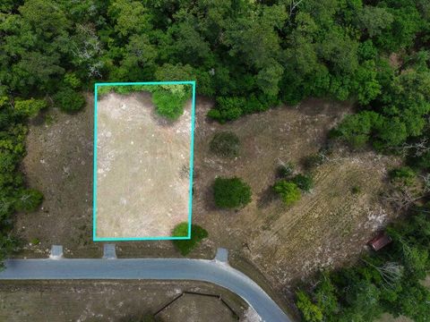 0 Capers Road Walterboro SC 29488