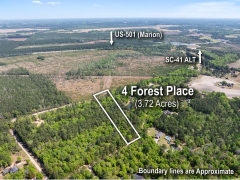 4 Forest Place Marion SC 29571