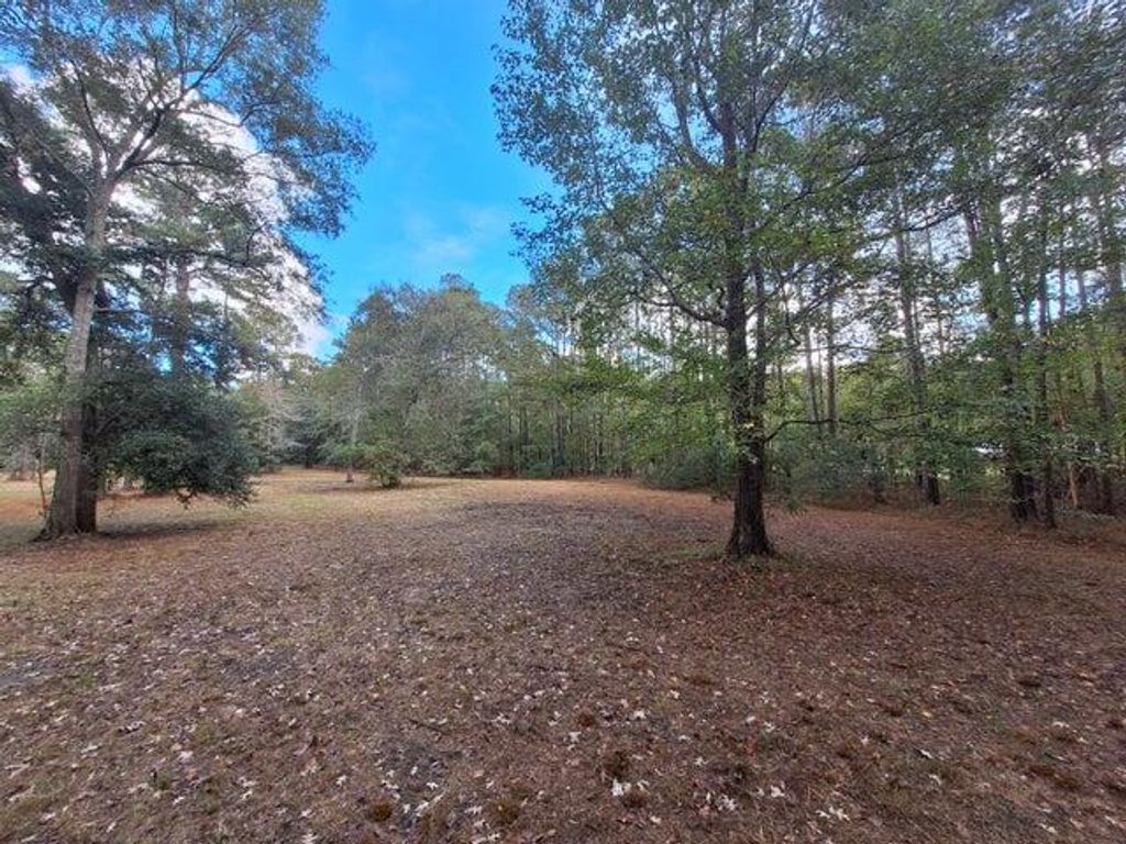 Photo of 00 Ashley River Road, Summerville, SC 29485 (MLS # 25016190)