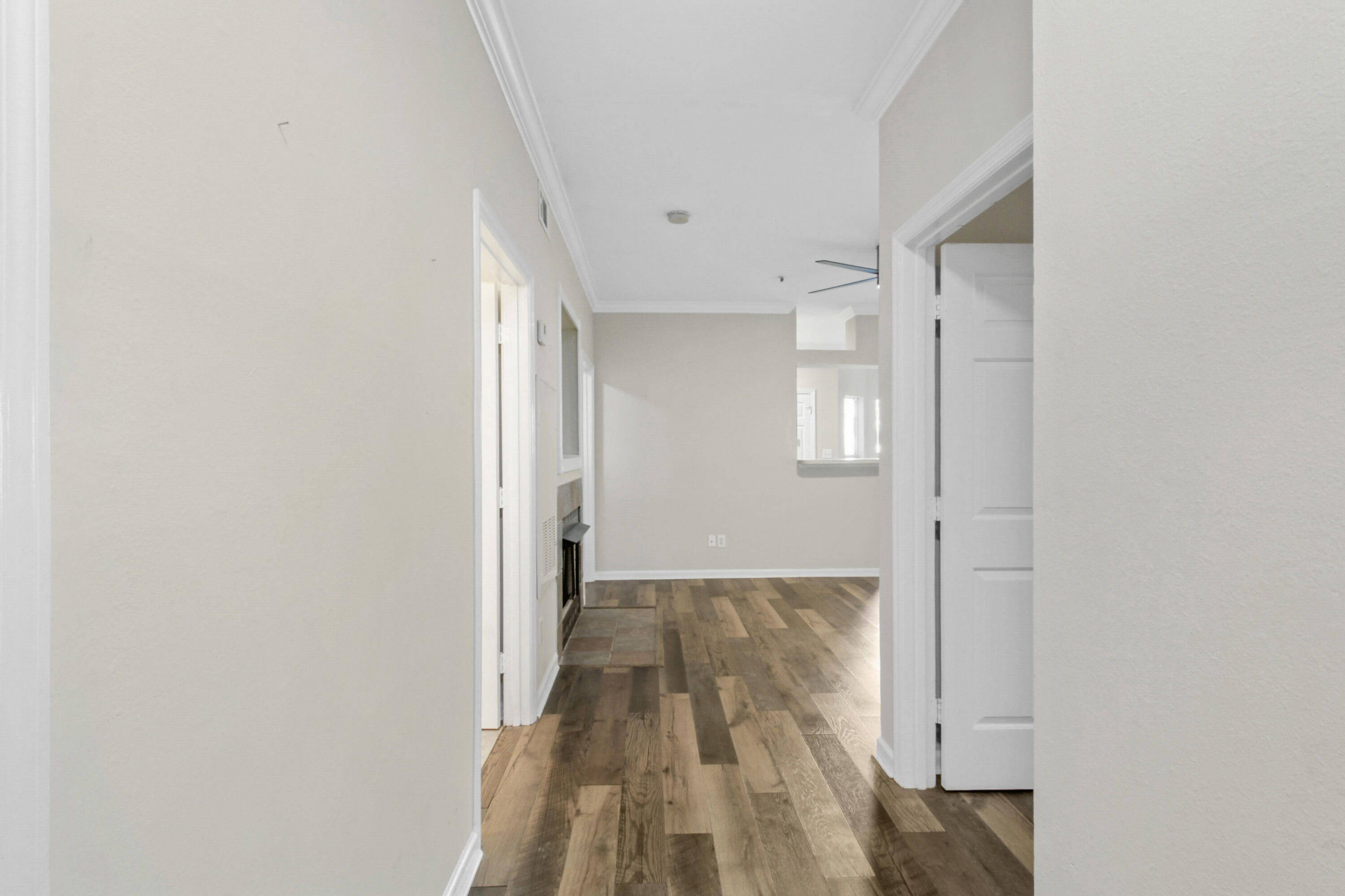 700 Daniel Ellis Drive Apt 12102