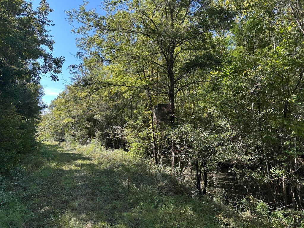 Photo of 0 Big Bird Lane, Summerville, SC 29483 (MLS # 26005744)