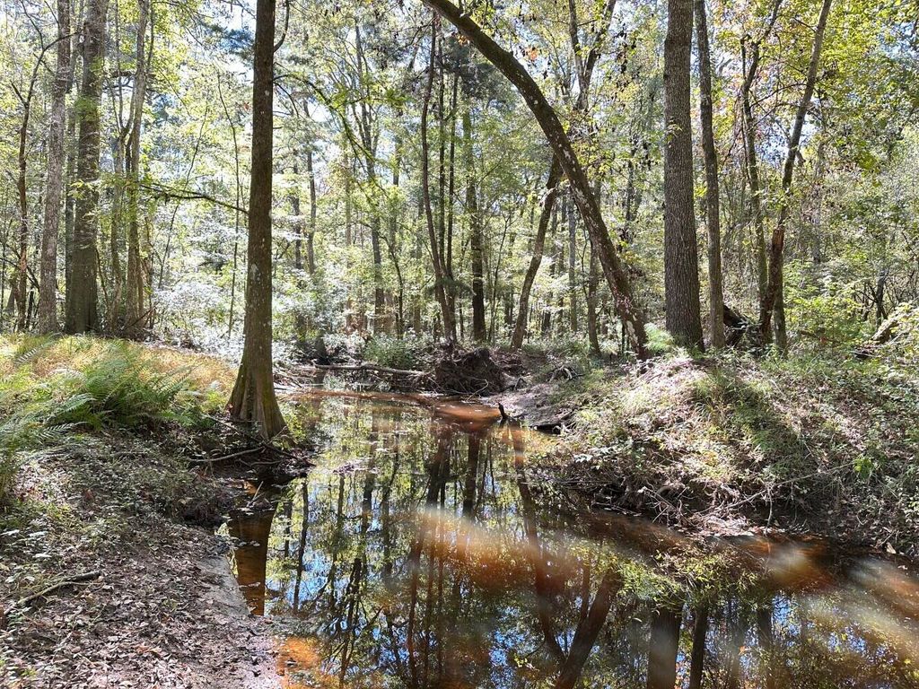 Photo of 0 Big Bird Lane, Summerville, SC 29483 (MLS # 26005744)