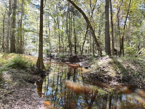 0 Big Bird Lane Summerville SC 29483