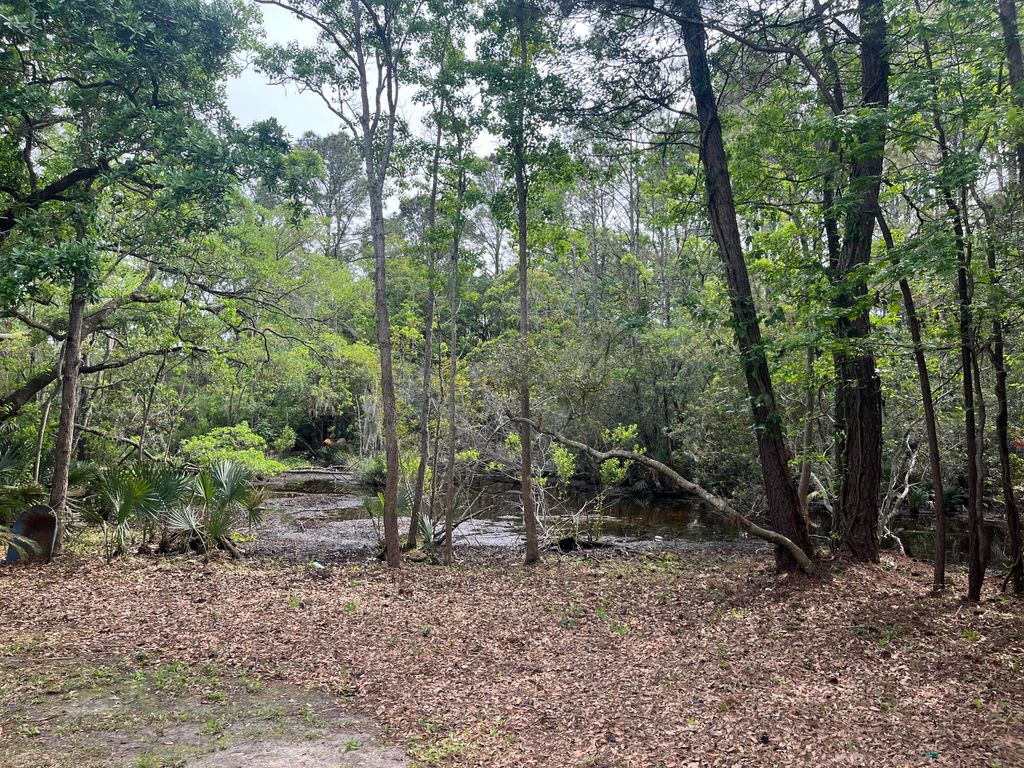 Photo of 1533 Theresa Drive, Charleston, SC 29412 (MLS # 25010693)