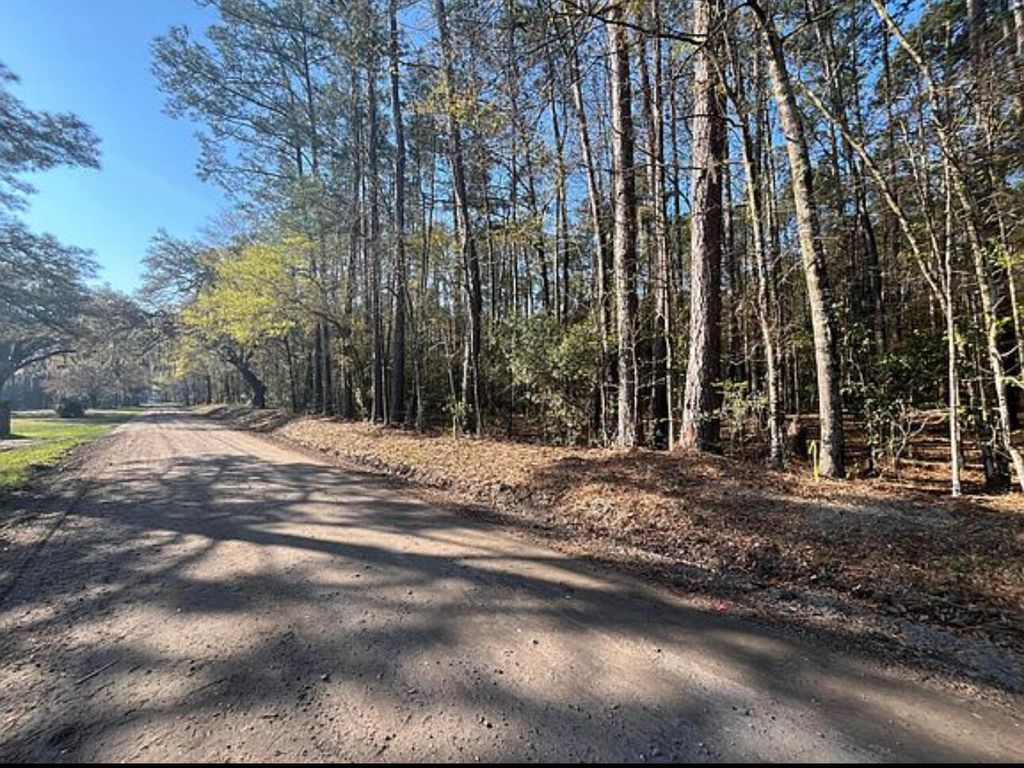 Photo of 0 Willtown Road, Adams Run, SC 29426 (MLS # 25018660)