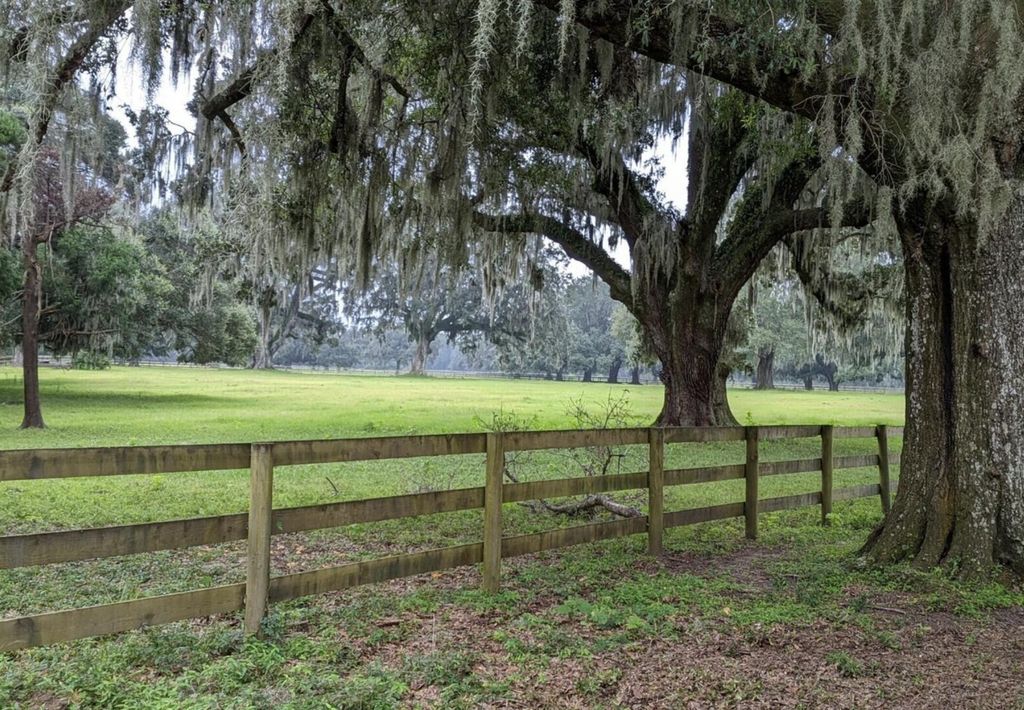 Photo of 33 Middleton Oaks Road, Charleston, SC 29414 (MLS # 25016756)