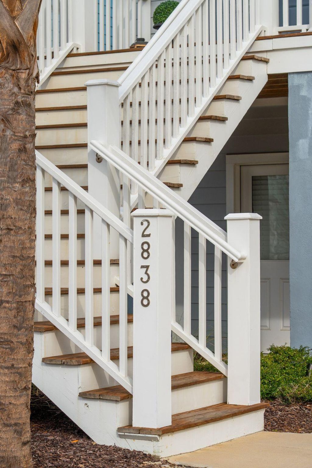 Photo of 2838 Dragonfly Circle, Mount Pleasant, SC 29466 (MLS # 26000269)