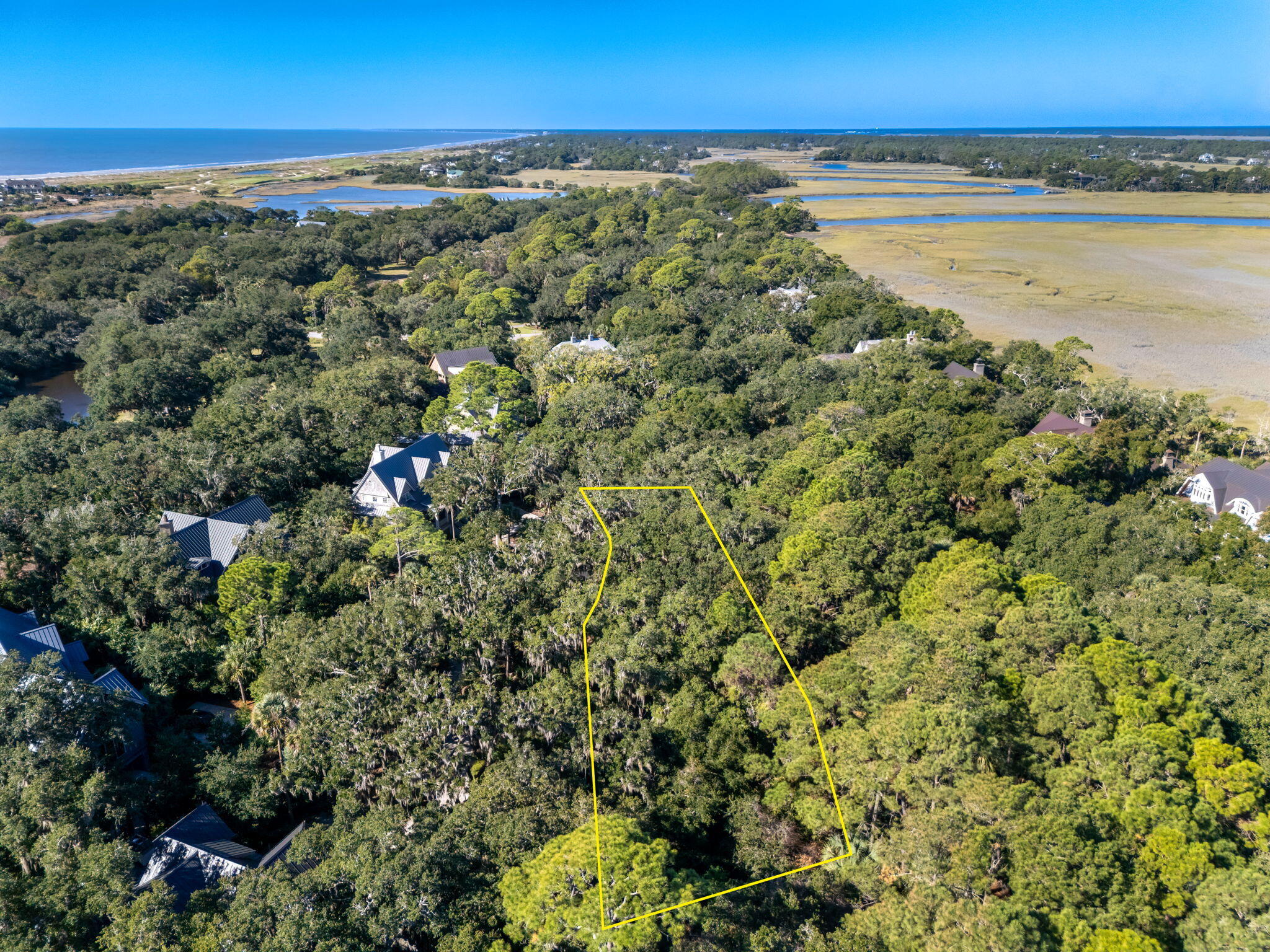 421 Sweetspire Lane