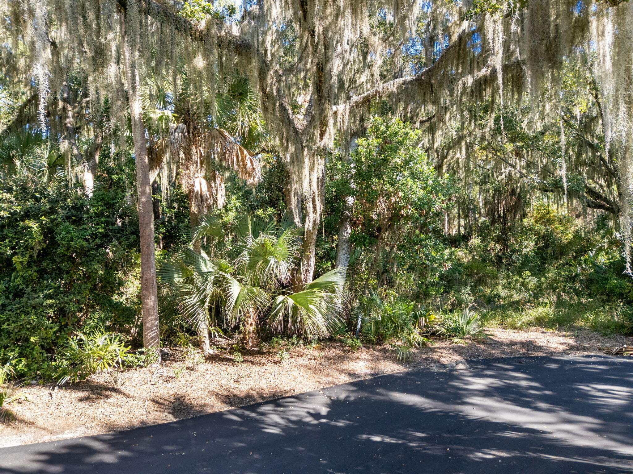 421 Sweetspire Lane