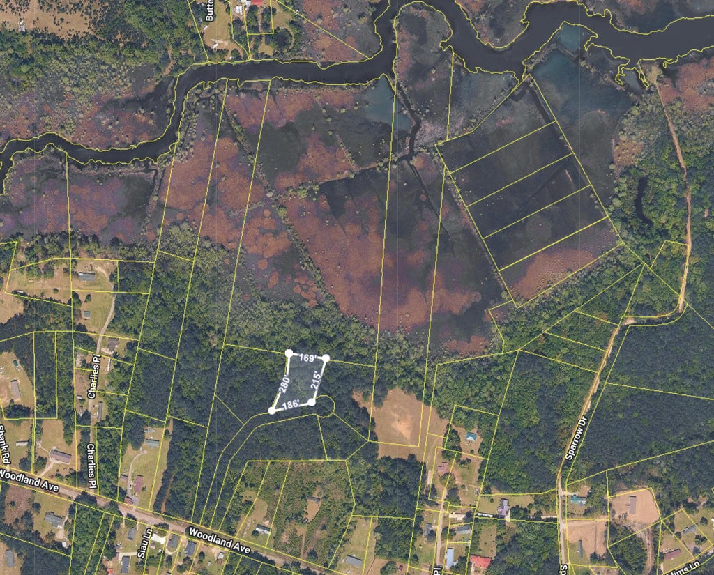 Photo of 0 Righthand Court, Georgetown, SC 29440 (MLS # 25019747)