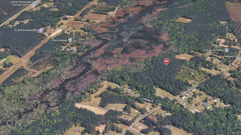 Photo of 0 Righthand Court, Georgetown, SC 29440 (MLS # 25019747)