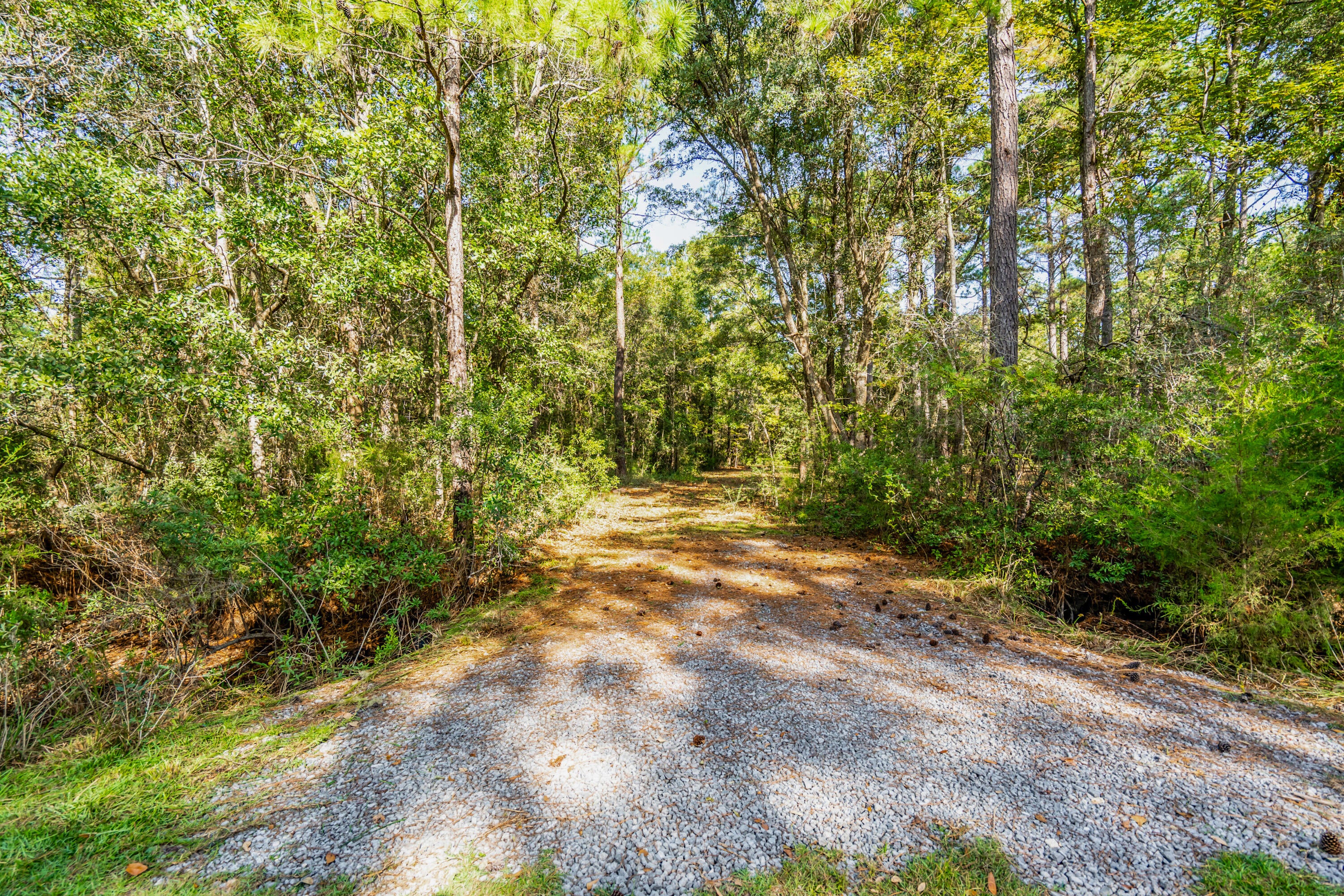 527 Mouzons Bluff