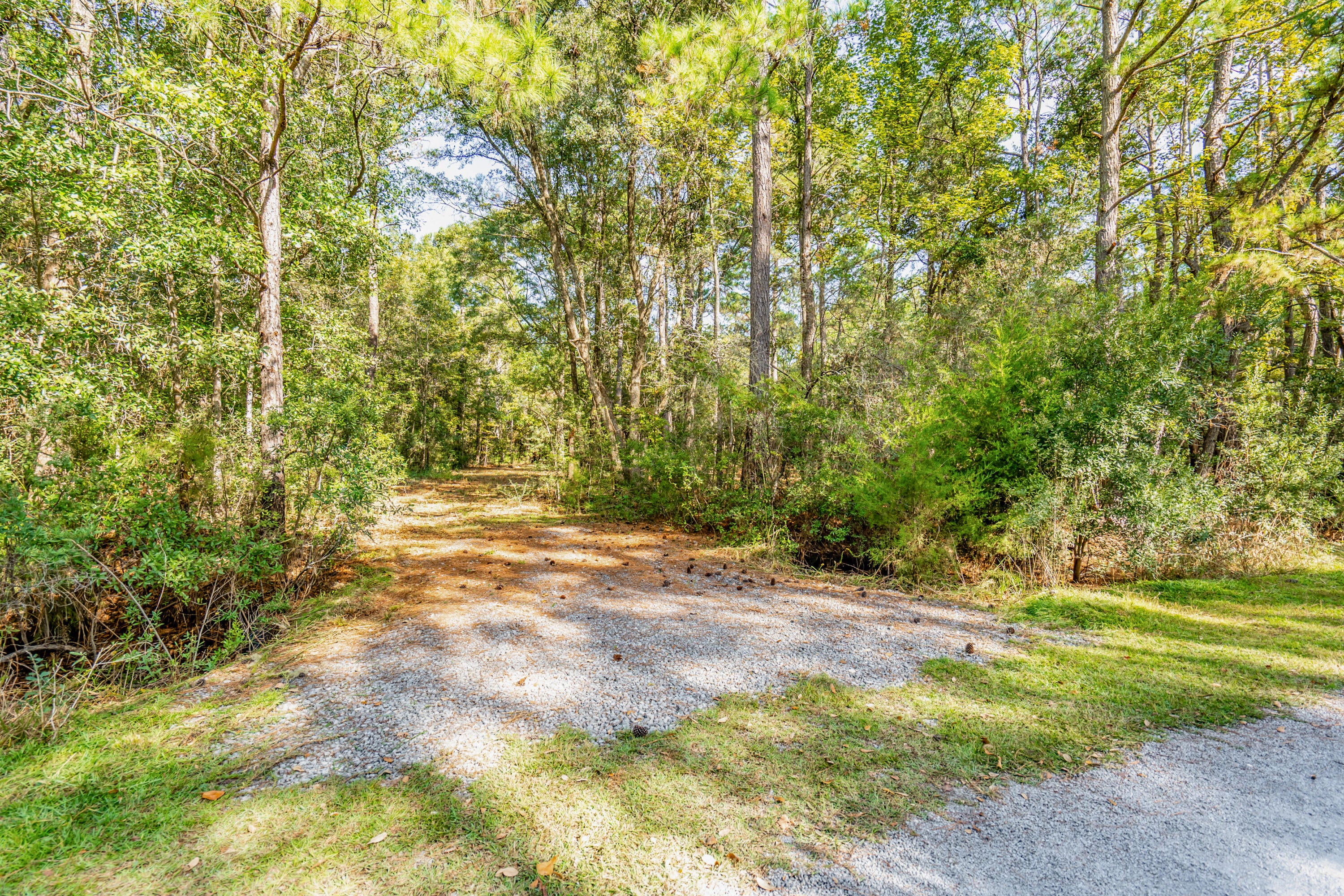 527 Mouzons Bluff