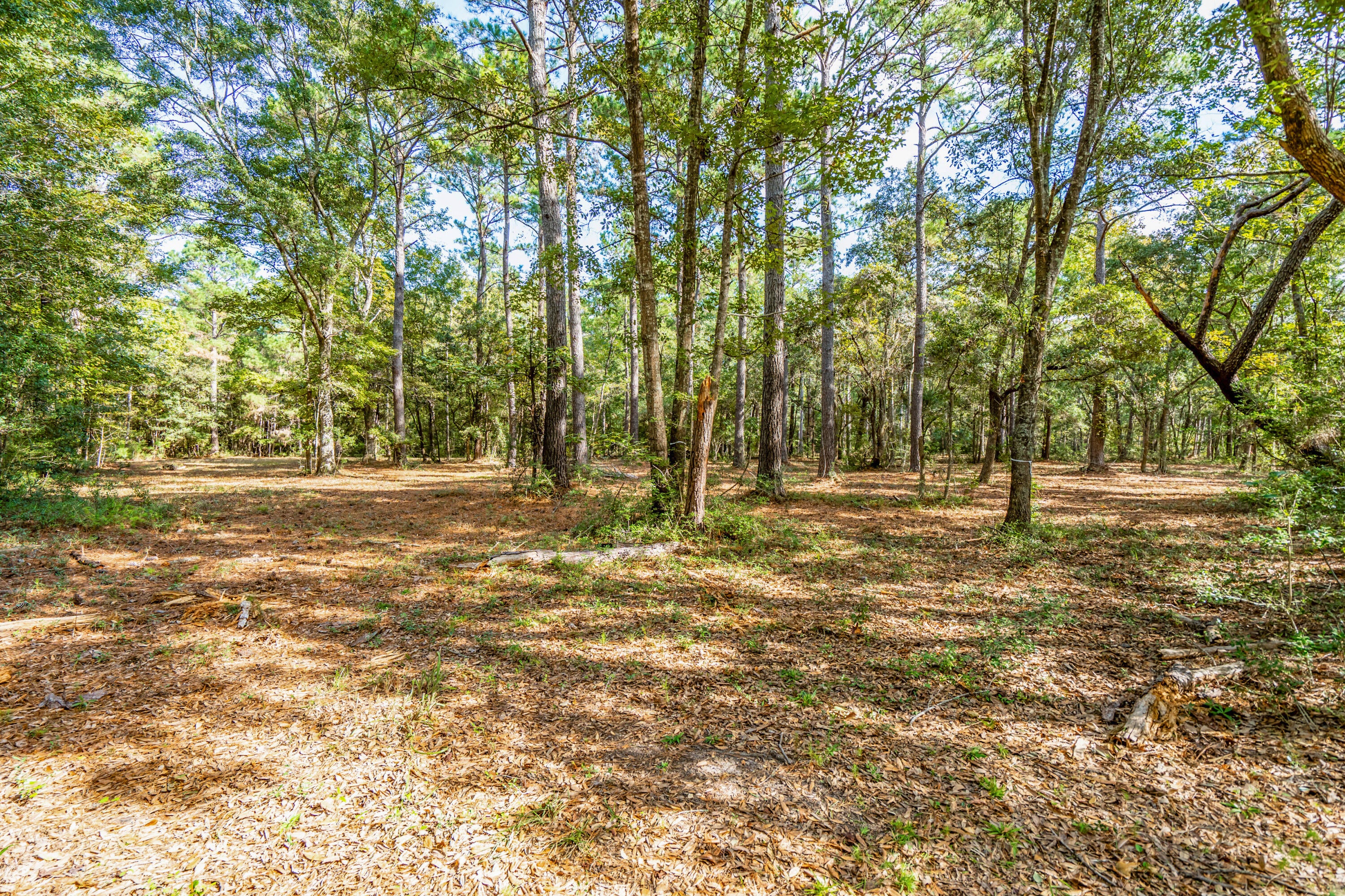 527 Mouzons Bluff