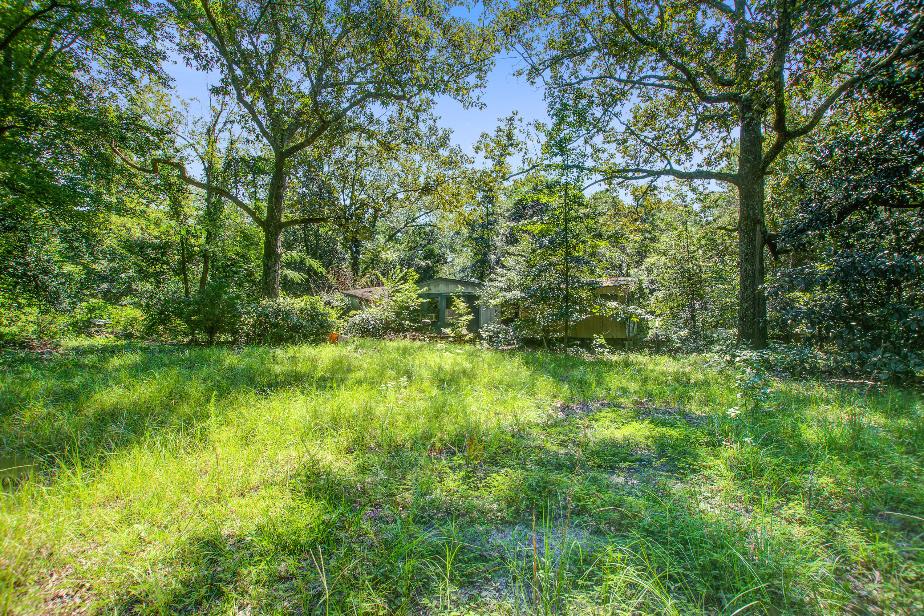 197 Walnut Heights Road