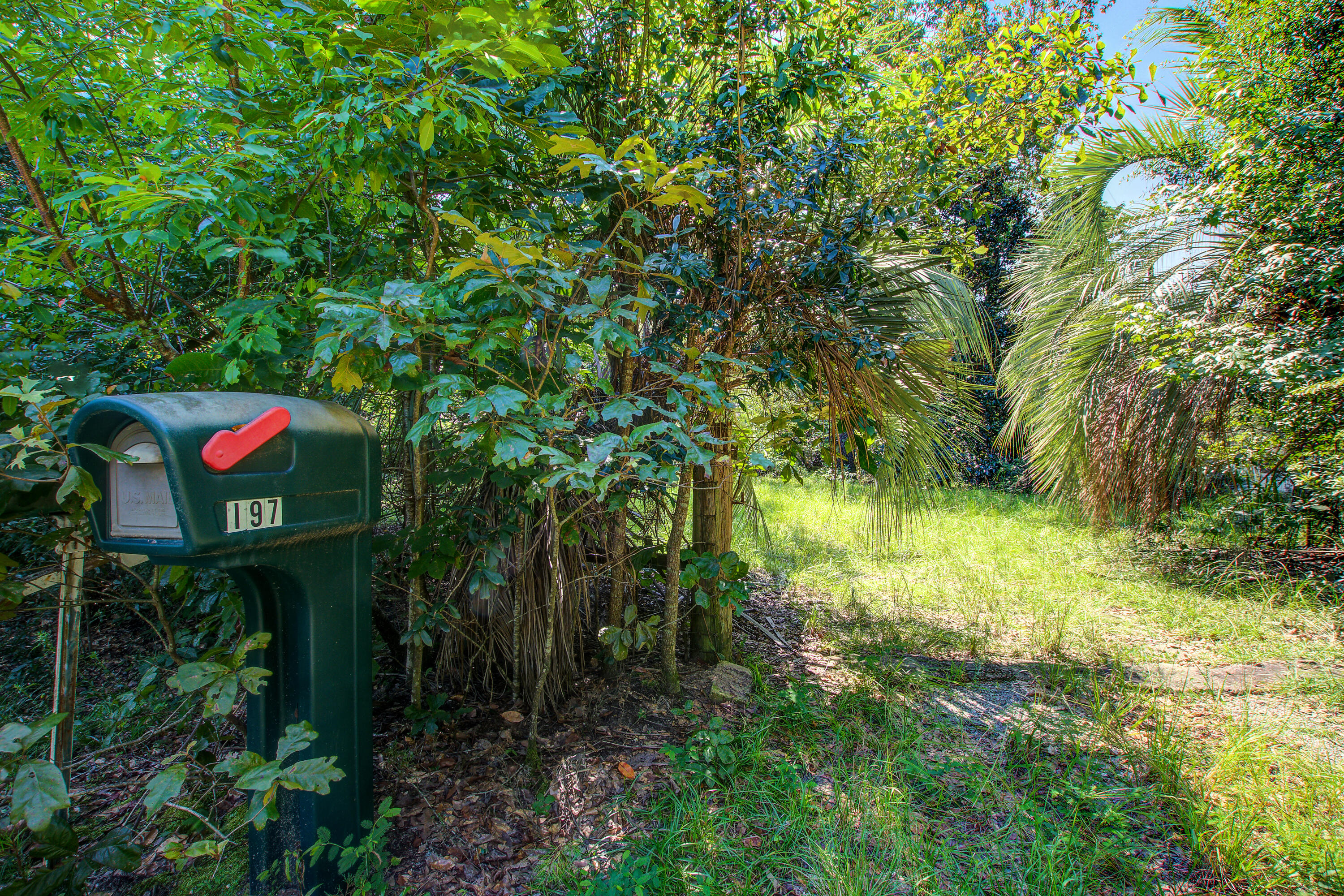 197 Walnut Heights Road
