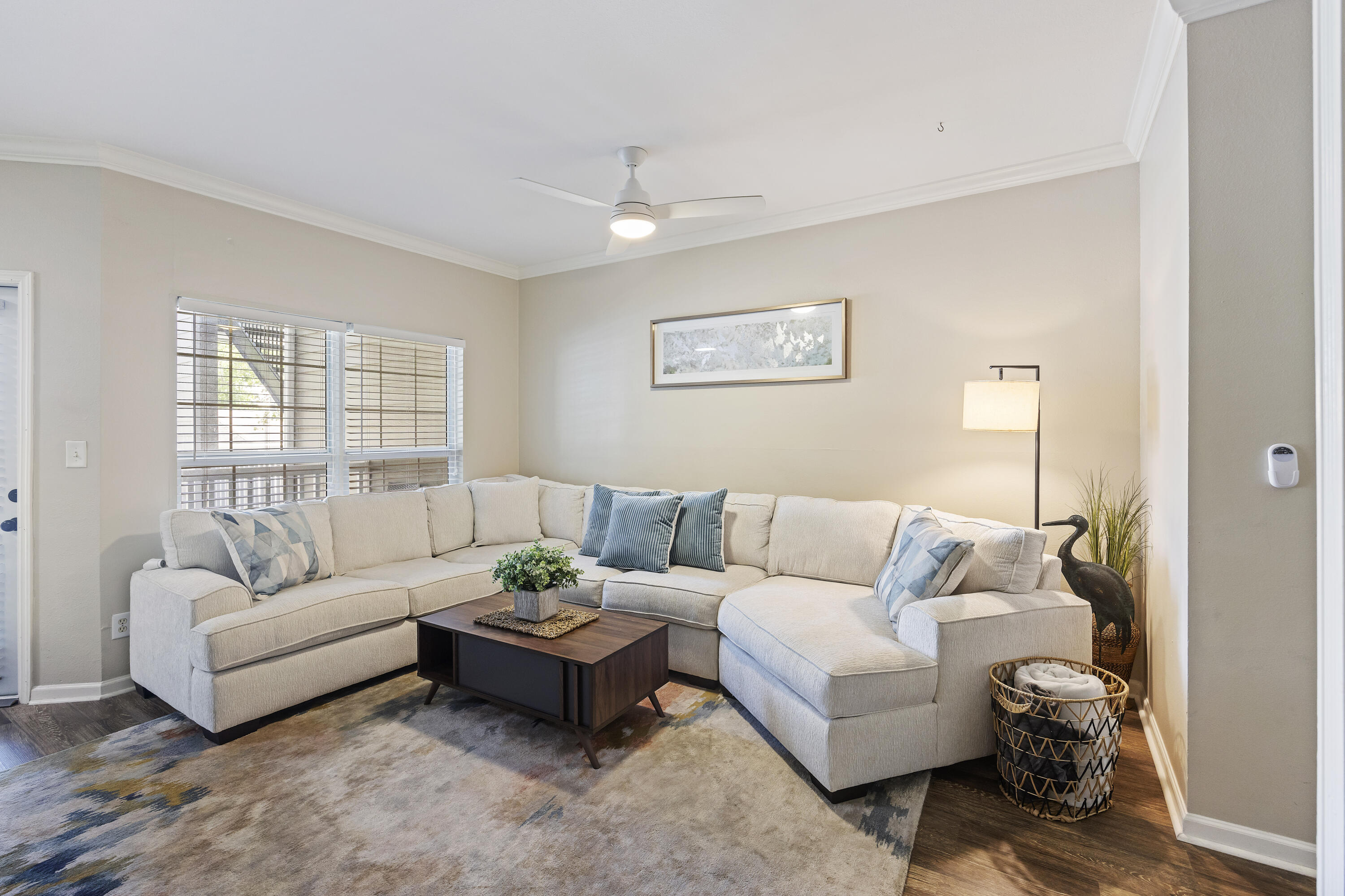 700 Daniel Ellis Drive 5103