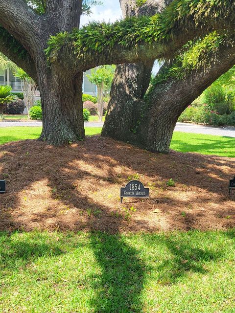 A home in Charleston