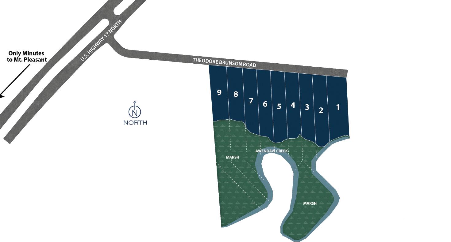 1150 Theodore Brunson Road