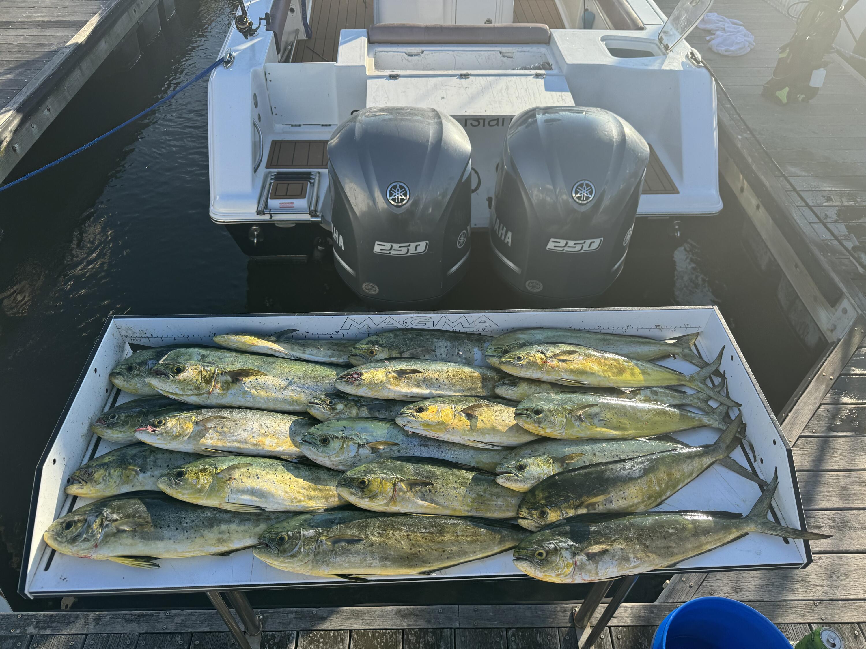 1880 Andell Bluff Unit E-19