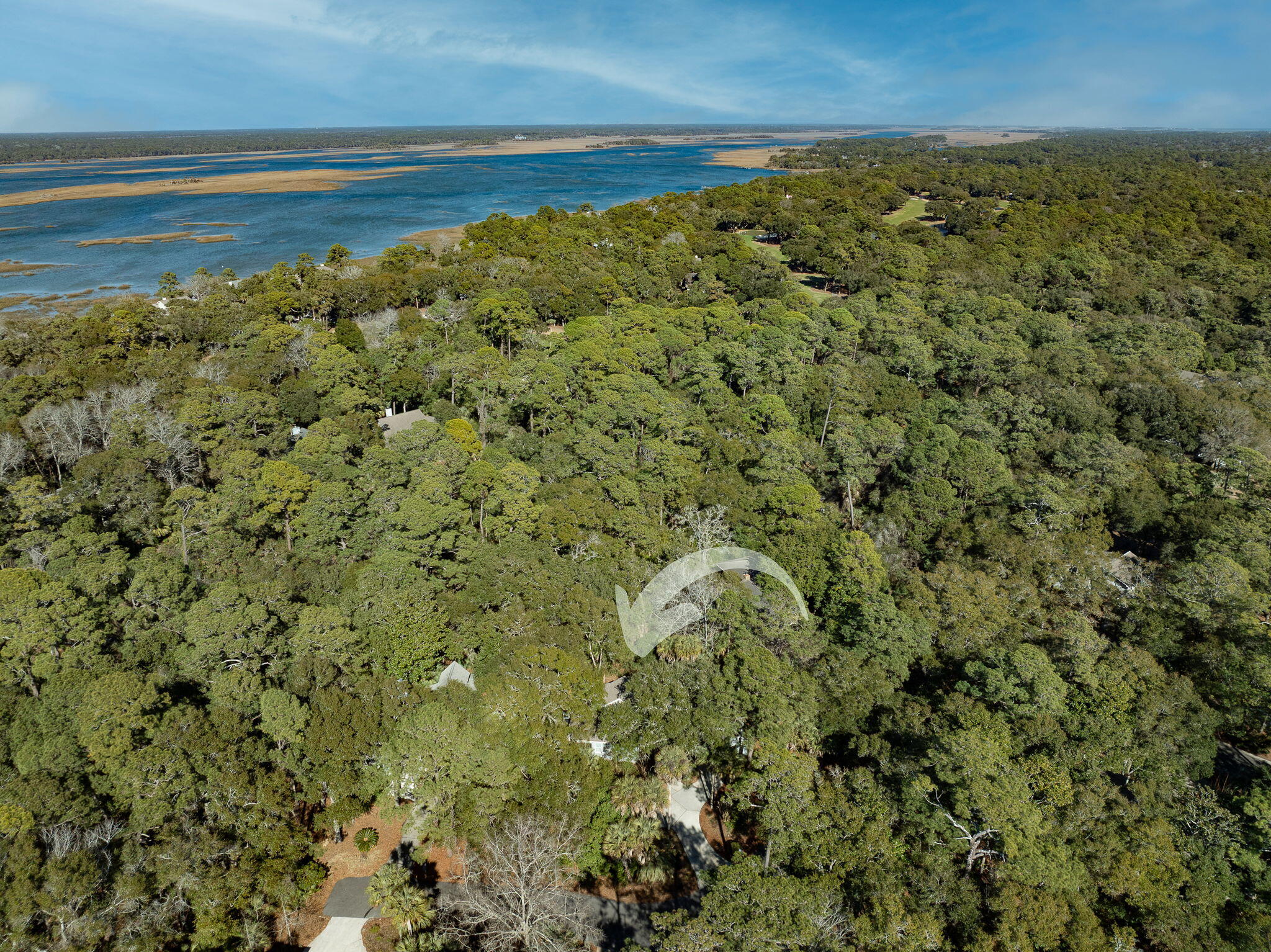 50 Crested Flycatcher