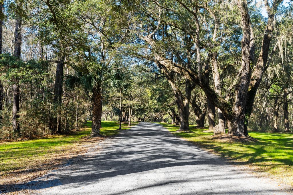 Photo of 4400 Wando Farms Road, Mount Pleasant, SC 29429 (MLS # 26002608)