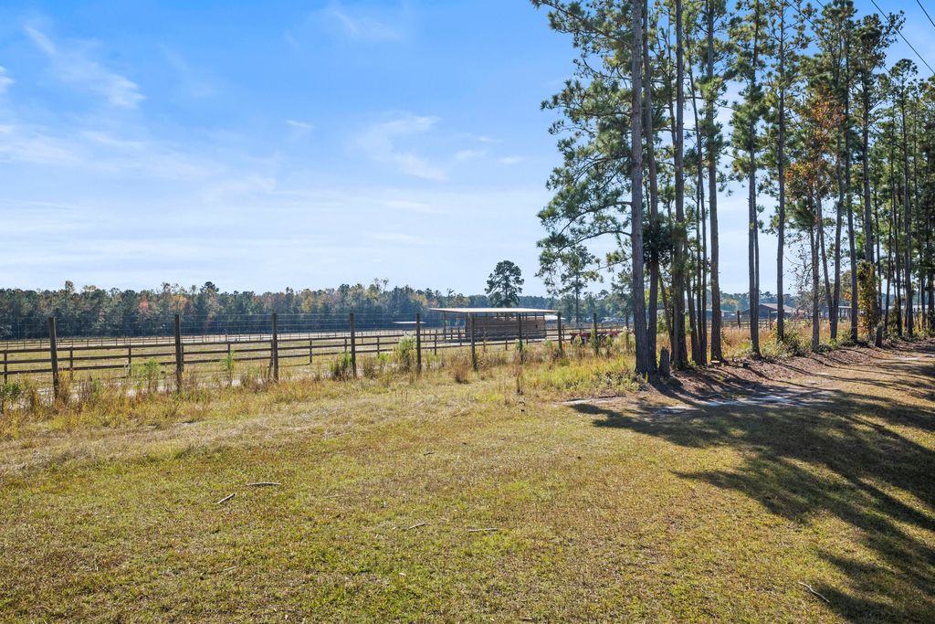 Photo of 310 Meryton Court, Summerville, SC 29486 (MLS # 25030386)