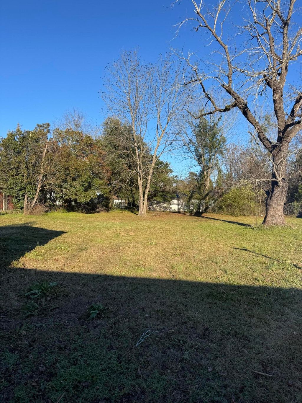 Photo of 1137 Mw Rickenbaker Road, Manning, SC 29102 (MLS # 25032935)