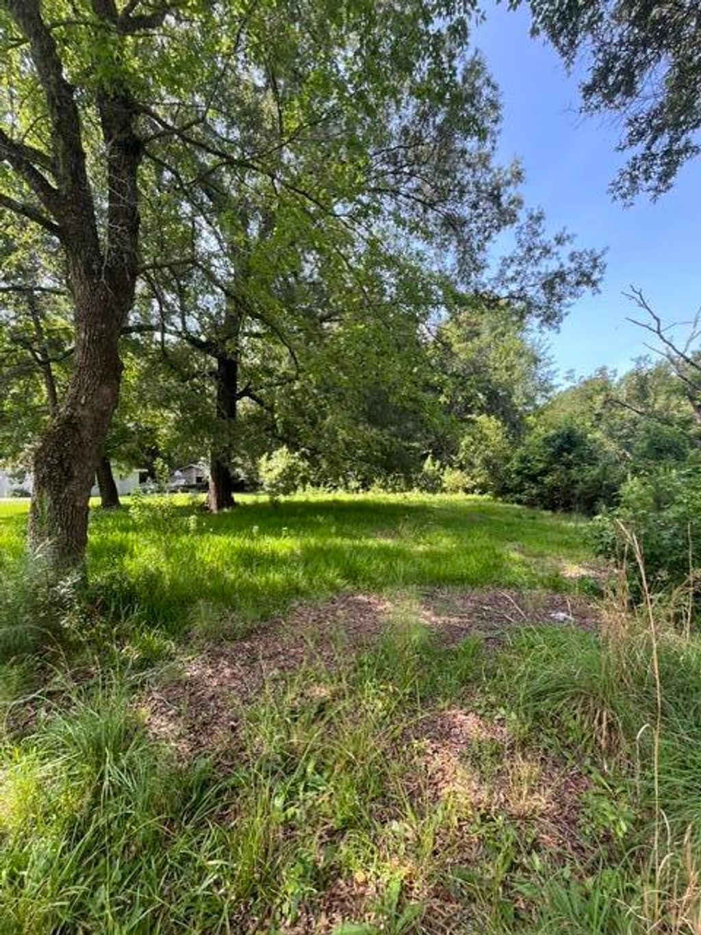 Photo of 0 Parsons Road, Summerville, SC 29483 (MLS # 26018742)