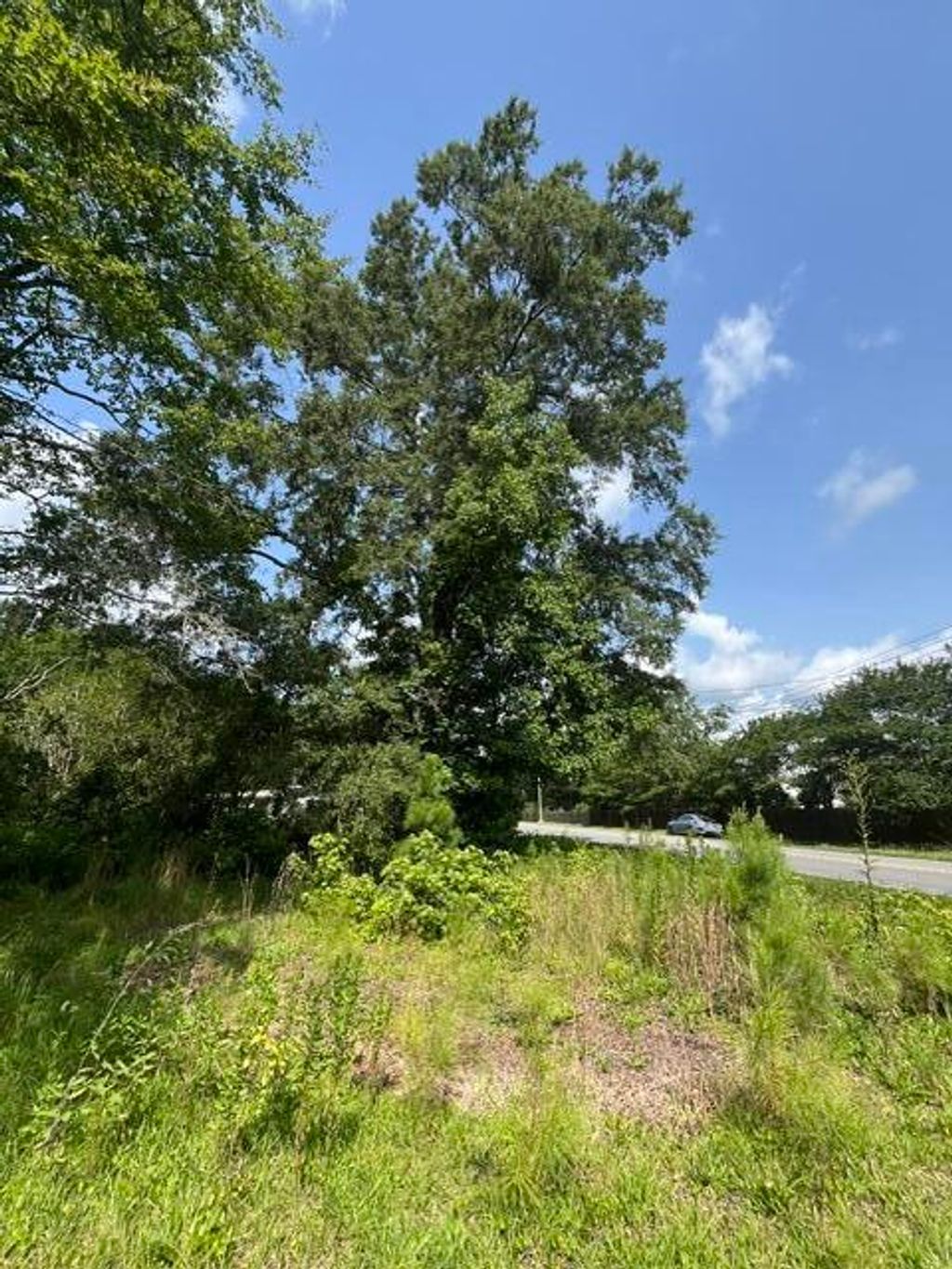 Photo of 0 Parsons Road, Summerville, SC 29483 (MLS # 26018742)
