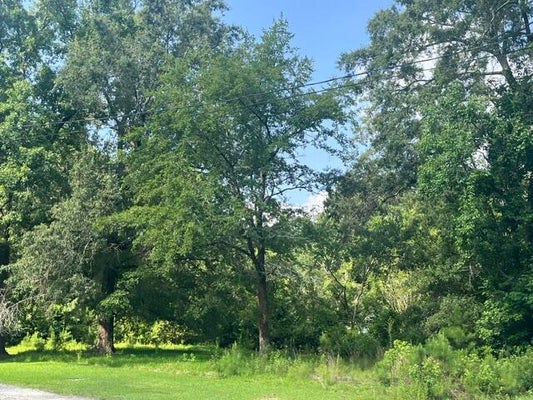 PARSONS RD, SUMMERVILLE, SC 29483 - Image 86cd2d3aecb888f4b2c95b9879bfbe97/3055532502