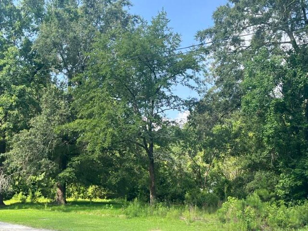 Photo of 0 Parsons Road, Summerville, SC 29483 (MLS # 26018742)